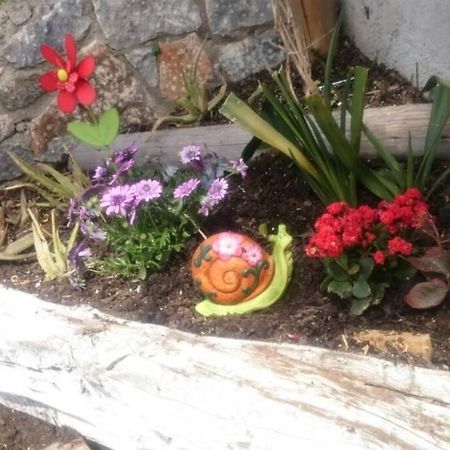 Nemesis Paleochora Lägenhet Chania  Exteriör bild