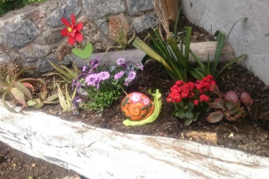 Nemesis Paleochora Lägenhet Chania  Exteriör bild