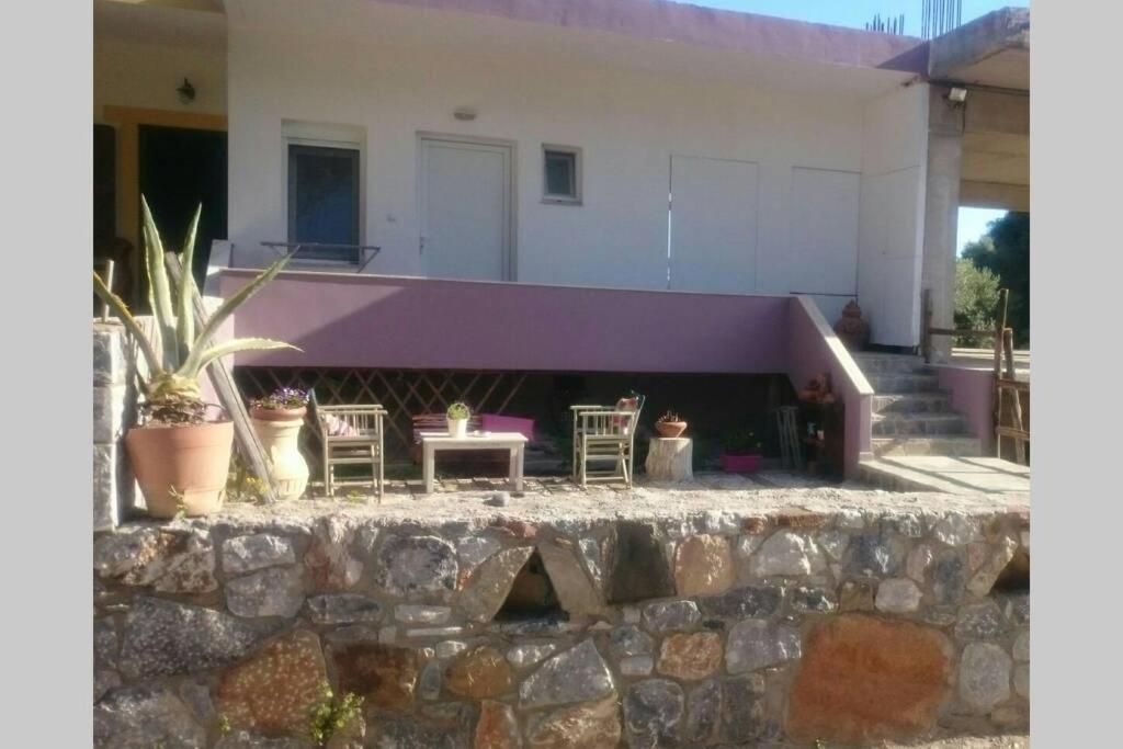 Nemesis Paleochora Lägenhet Chania  Exteriör bild